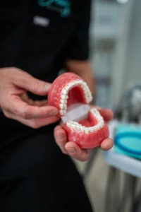 A dental professional holds a model of a full set of teeth, demonstrating dental structure and oral care techniques. The setting appears to be a modern dental office, enhancing patient education and understanding.